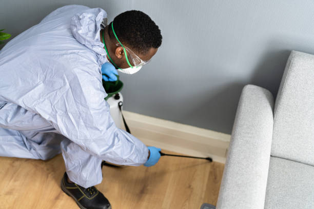 Best Pest Prevention Services  in Lindenwold, NJ